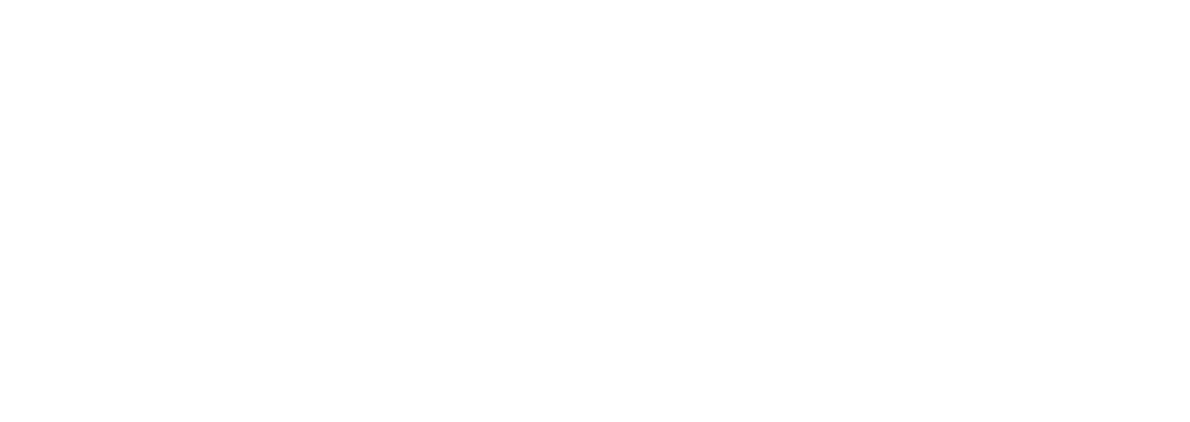 Netg